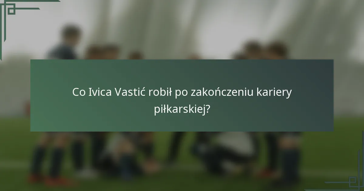Co Ivica Vastić robił po zakończeniu kariery piłkarskiej?